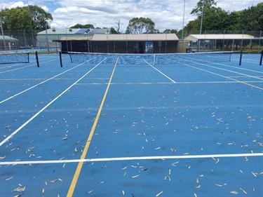 Netball and tennis courts