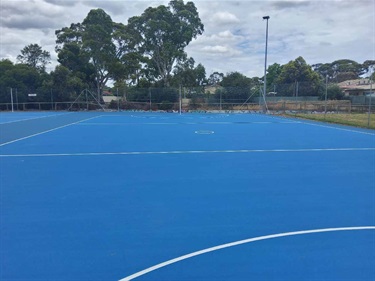 Netball courts