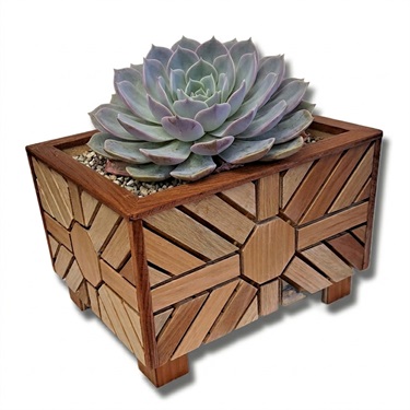 Pot plant