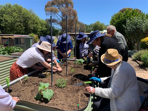 Kookaburra Club gardening group