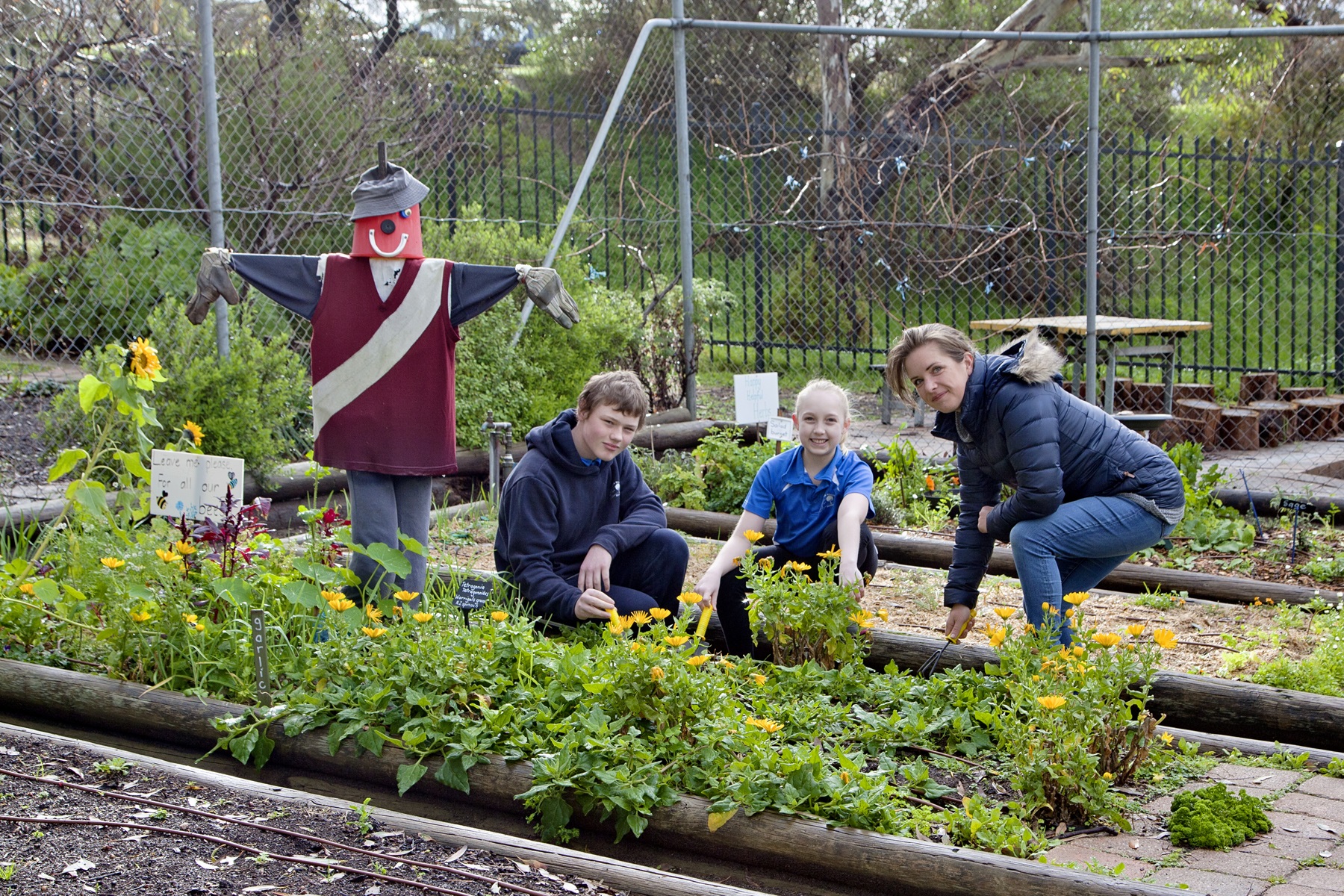 2018_mayors_garden_competition_winner_osullivan_beach_primary_school.jpg