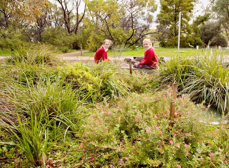 2018_mayors_garden_competition_winner_tatachilla_lutheran_college.png