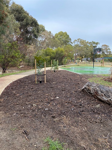 Path and basketball court
