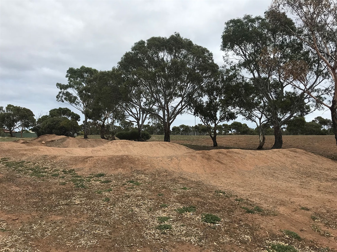 BMX Jessamine Reserve, Reynella