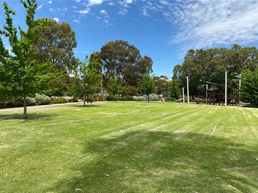 Dinton Farm irrigated grass