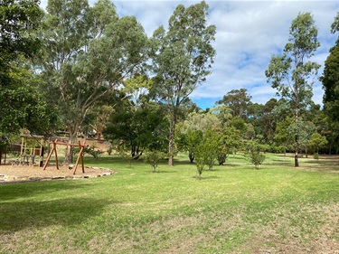 grassed area