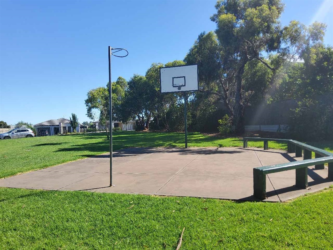 Basketball and netball rings